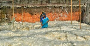 kapok fiber