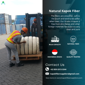kapok fiber
