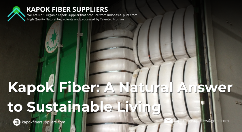 kapok fiber