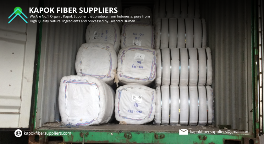 kapok fiber